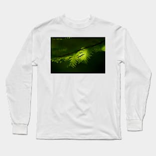 Dawn redwood foliage (C001/1538) Long Sleeve T-Shirt